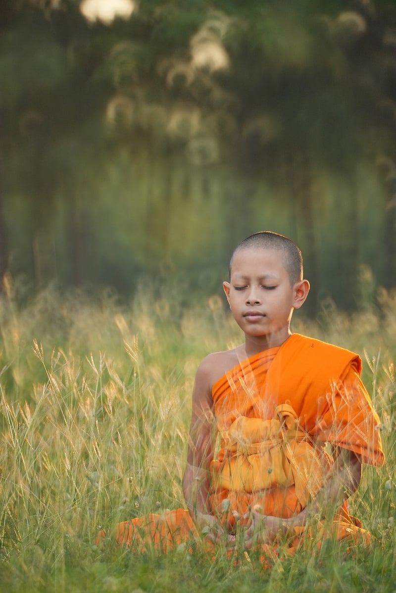 Meditation Retreat in the Himalayas